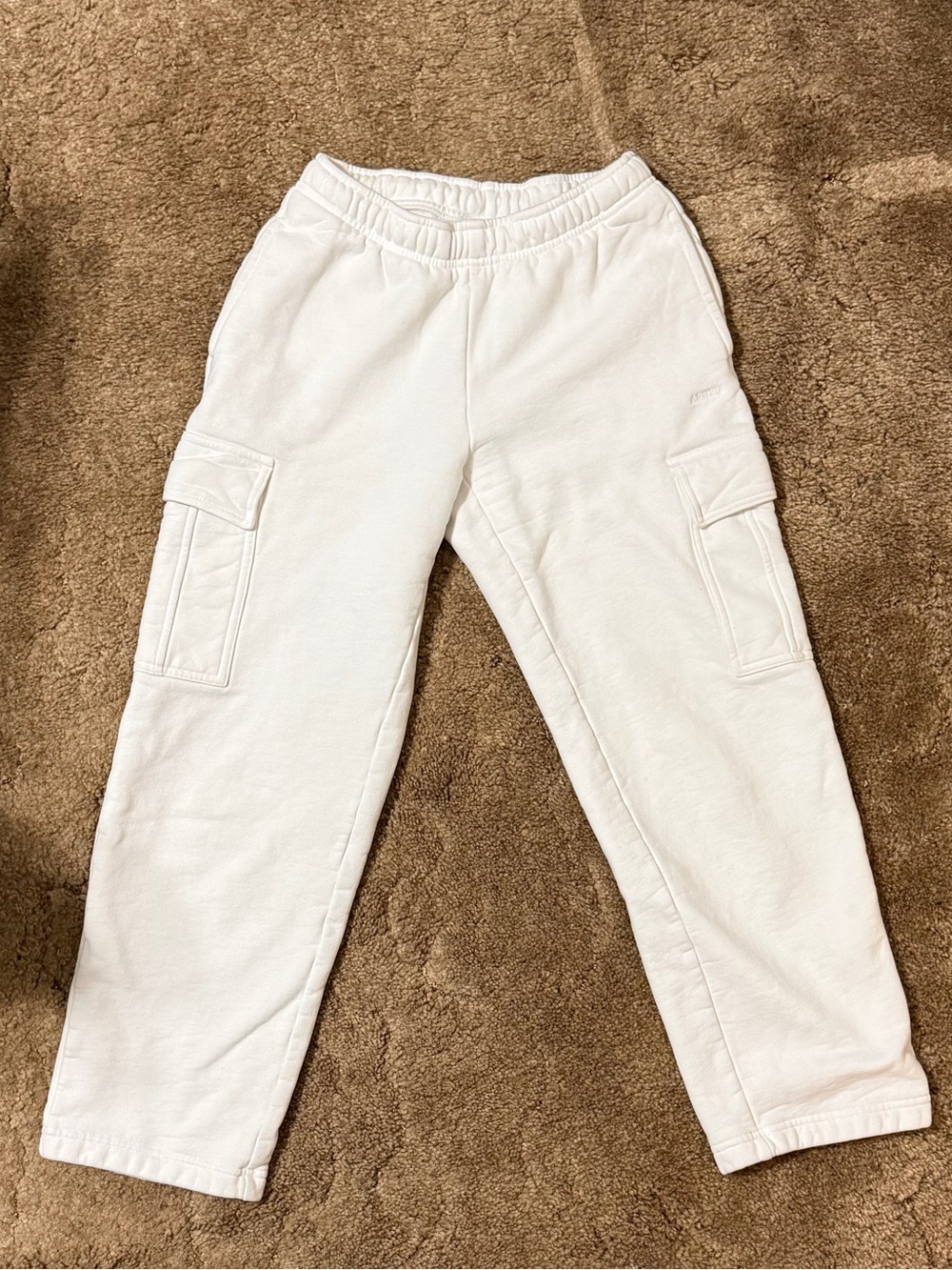 ARITZIA mega cargo pants